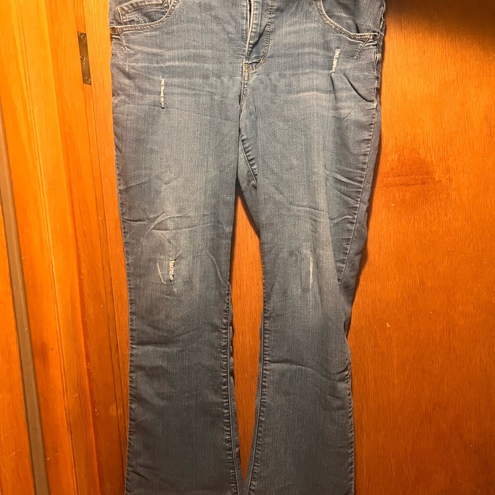 Artisan Crafted Blue Women's Jeans